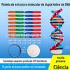Estrutura de hélice dupla de DNA modelo material desoxinucleotídeo cadeia par de bases gene cromossomo dupla fita