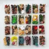 Paquete de Materiales Hechos a Mano para Bricolaje Flores Mixtas Plantas Flores Secas Piñas de Navidad Estilo Bosque para Jardín de Infancia Creación Ambiental Decoración