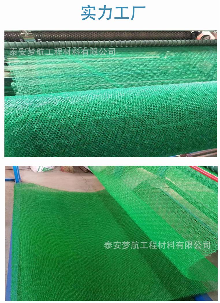 三维植被网详情8_副本