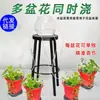 Dispositivo automático de riego por goteo para regar flores en macetas de balcón interior, dispositivo de riego de autoservicio para perezosos, adecuado para jardinería mientras se está de viaje de negocios