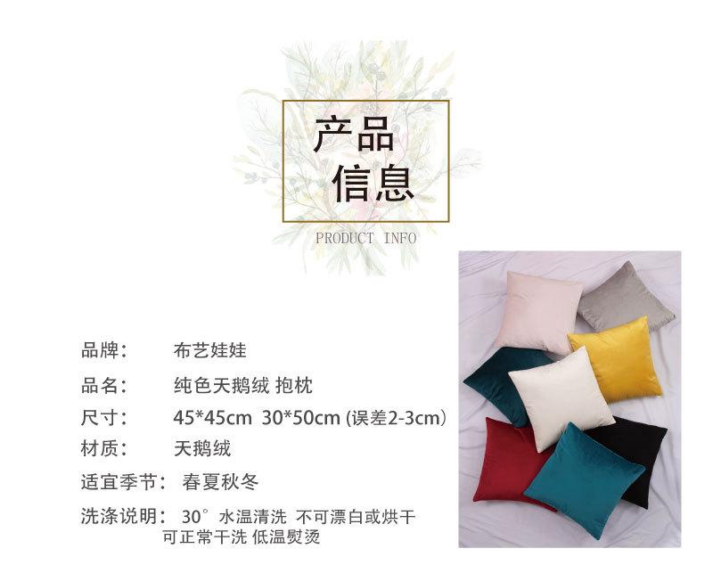 详情页首部.jpg?x-oss-process=image/format,png