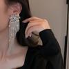 Pendientes Exagerados Largos con Borlas y Pedrería, Estilo Lujo Ligero Europeo y Americano, Personalidad de Alto Temperamento, Pendientes Estilo Ins para Mujer