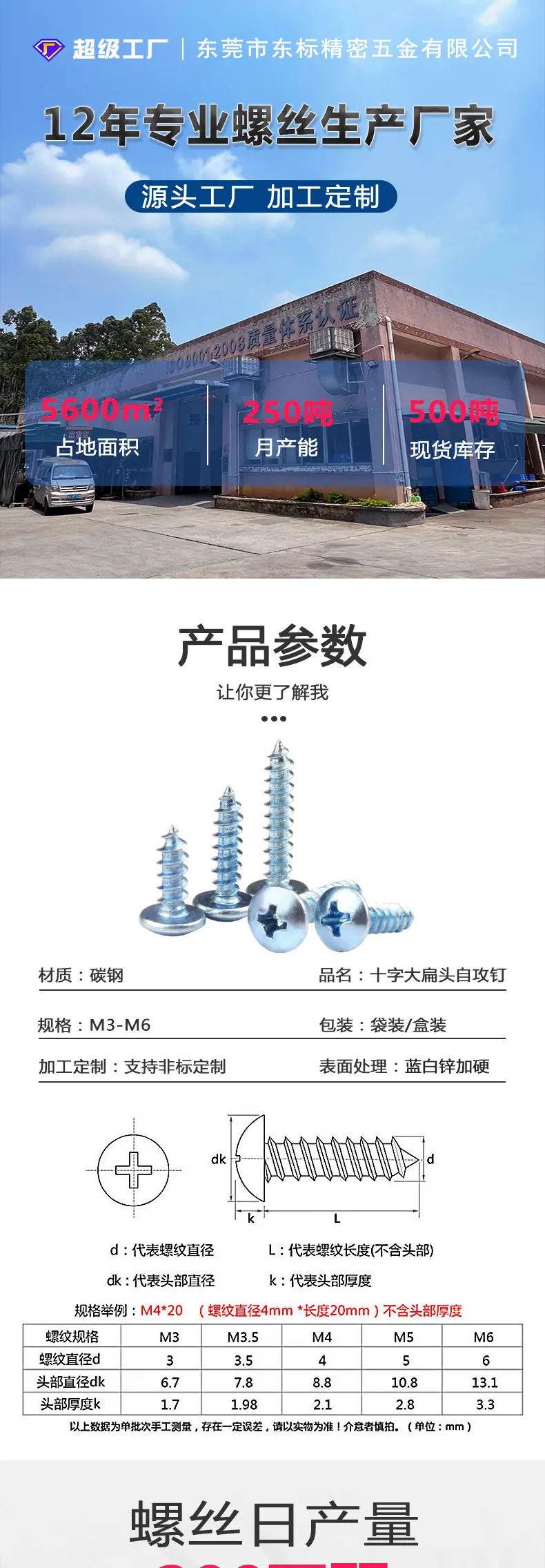 东标大扁头自攻新详情_01.jpg