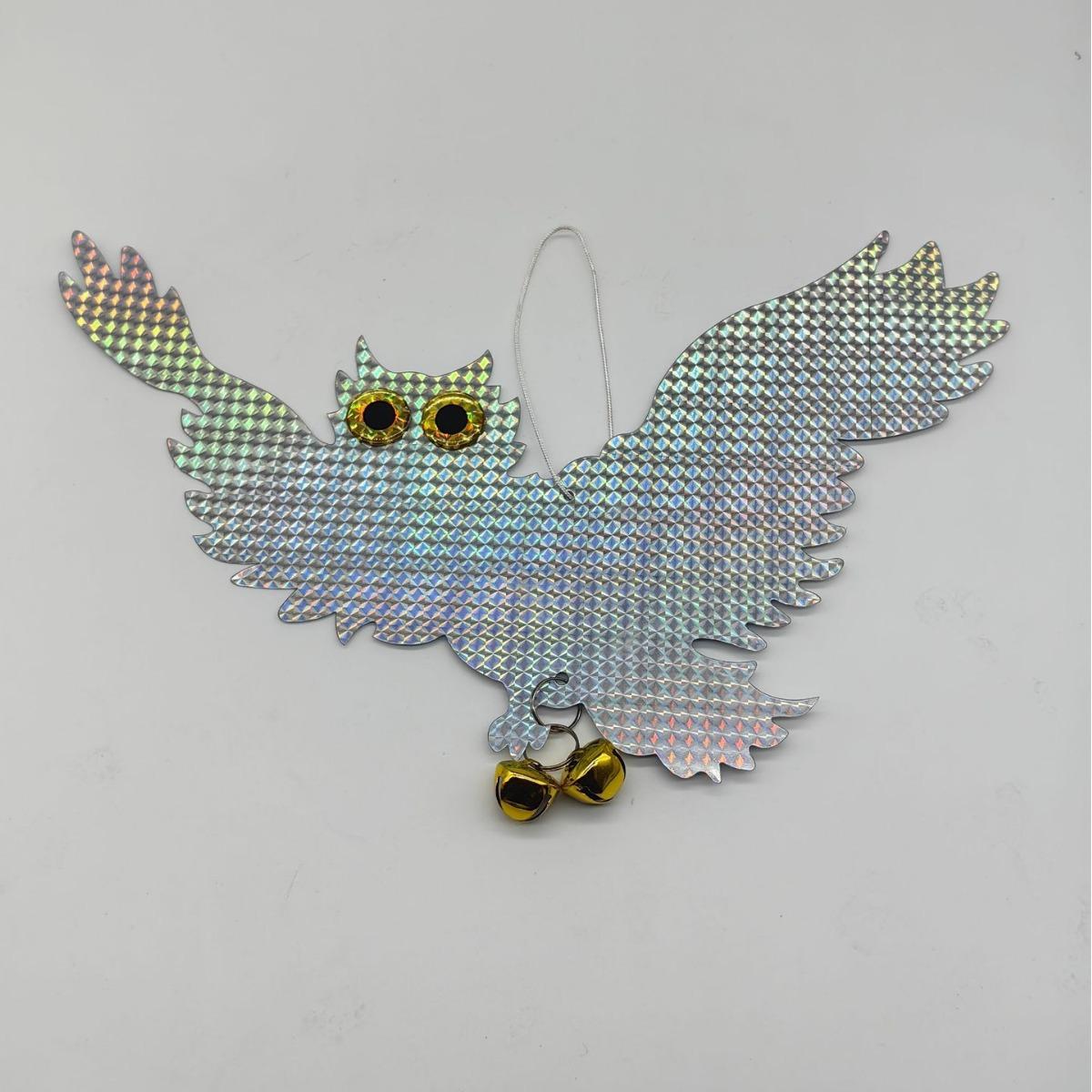 2024-01-12 21:50:30.jpg