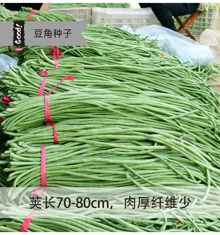 华骏一号03-1