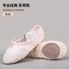 Zapatos de ballet profesionales para adultos, zapatos de baile para niños, zapatos de baile con suela suave para mujer, zapatos de práctica con garra de gato, zapatos de cuerpo, zapatos de práctica