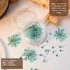 2026 Estilo Japonés Popular DIY Arte de Uñas 3D Flores Secas Decoraciones de Pétalos Coloridos Patrón Pegatinas para Uñas