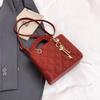 Bolsos de Diseñador de Nicho 2025 Bolsos Nuevos para Mujer Modernos Populares Versátiles Bolso Cruzado de Socialité Bolso de Mano de Moda Bolso de la Princesa Diana