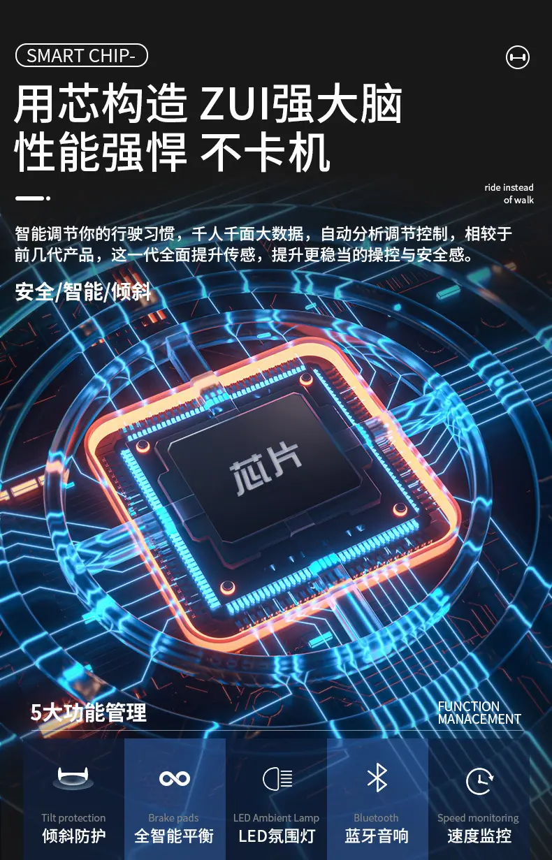 详情 (11)