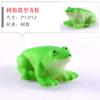 Aquário Bonsai Paisagismo Decoração Pedra d'água Ornamentos Pedra Absorvente Acessórios Pedras Ornamentais Acessórios para Rochedo Micro Paisagem Ornamentos para Animais Pequenos