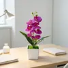 Maceta cuadrada con 7 orquídeas Phalaenopsis, decoración del hogar, planta en maceta de flor artificial, adorno, arreglo para salón de ceremonia de boda, maceta pequeña