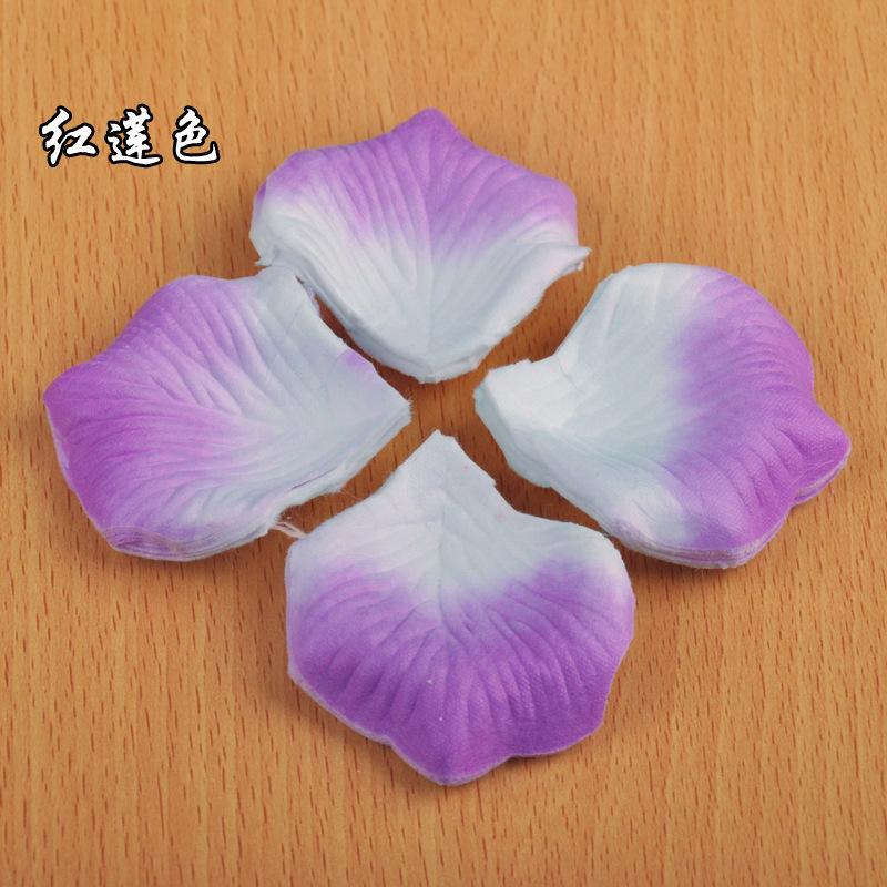 2811869937_1354842517