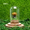 Venta al por mayor de fábrica Piedra Bruta de Cristal Natural Muestra de Mineral para Niños Divulgación Científica Enseñanza Piedra Semipreciosa Adorno de Escritorio para el Hogar