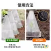Plántulas de verduras y plantas, plántulas, plántulas, cultivo de plántulas en invernadero, conservación del calor, protección contra insectos, protección contra pájaros, protección contra heladas, cubierta protectora