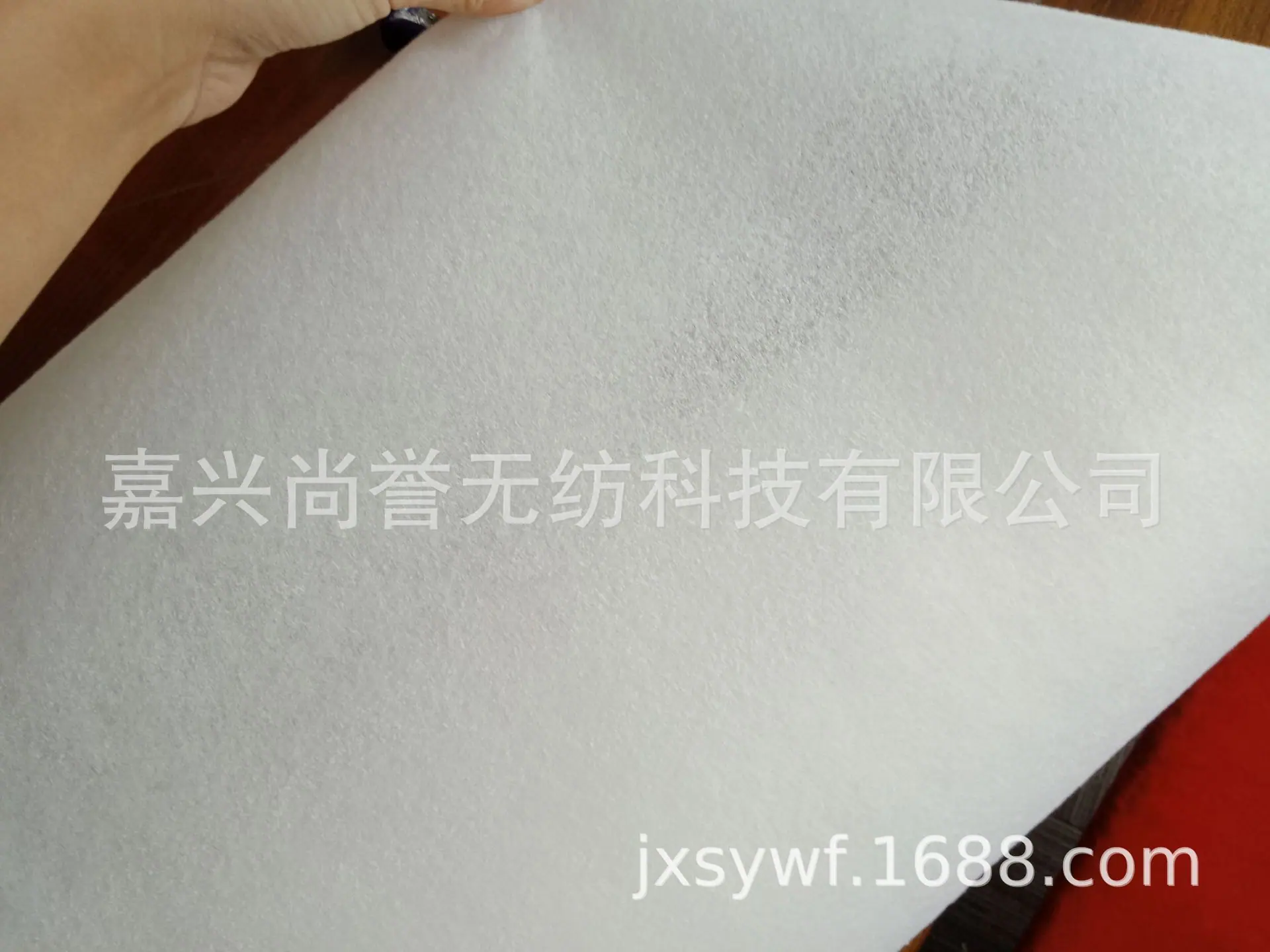 IMG20191011124556.jpg