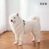 Roupas de Cachorro para Todas as Estações para Uso ao Ar Livre, Calças à Prova de Poeira de Quatro Patas, Calças Anti-Sujeira, Cobertura Total, Proteção contra Insetos, Impermeável, Vestuário para Pets de Cães Pequenos e Médios