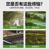 Removedor de Musgo Piso de Cemento Azulejos de Pared Acuario Estanque Cepillo Limpieza Limpiador Removedor de Musgo Mata Algas Verdes