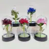Flor Eterna capa acrílica rosa de flanela 520 Dia das Mães Tanabata Dia dos Namorados presente decoração criativa transfronteiriço