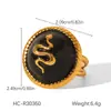 Pendientes Vintage de Obsidiana Tachonada Estilo Francés para Mujer, Cadena de Suéter con Diseño Único, Acero de Titanio Antidesvanecimiento Joyería Transfronteriza