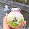 Atacado Copo Descartável de Iogurte da Terra 400ml Garrafa de Chá de Leite PET Copo Espesso de Chá de Leite Garrafa de Suco Copo de Bebida Plástico