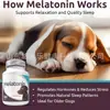 Melatonina para Pets de Venda Quente Transfronteiriça Sabor Carne Tabletes Mastigáveis Ajudam a Reduzir o Estresse Suplementos para Cães