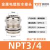 Conector Metálico NPT/G Rosca Estándar Americana Latón Niquelado Protección de Cable Prensaestopas Manguera de Protección Doble Extremo Recto