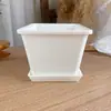 Maceta Cuadrada de Plástico para Suculentas, Maceta Cuadrada Sedum Ébano, Tronco Viejo Ultra Grueso, Racimo Pequeño, Lithops Extra Duro Blanco y Negro