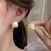 Versão coreana estilo TikTok de brincos de pérola populares para mulheres, luxo leve com sensação de alta qualidade, brincos versáteis de nicho, acessórios de orelha elegantes e modernos
