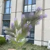 Hierba de Cola de Conejo Artificial de 2 Ramas, Planta Verde Simulada para Boda y Decoración del Hogar, Venta al por Mayor