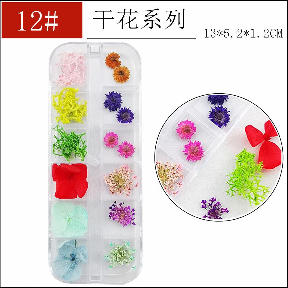 干花12-_副本_副本