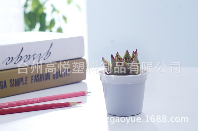 HAI_6559_副本