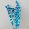 Linterna de Flor Eterna Fruta en stock para venta al por mayor, fruta de gelatina, flor de campanilla de viento, decoración de hotel y casa de huéspedes, arreglos florales, materiales florales para bodas