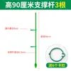 Suporte para Orquídea Phalaenopsis Haste de Suporte para Planta de Orquídea Suporte Retificador de Fibra de Vidro Haste de Fixação para Planta Trepadeira