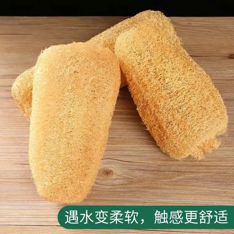 55e80380-17f3-4d7e-a415-987dfed62fe7.jpe