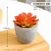 Suculenta bonsai de polpa de papel artificial transfronteiriça para varanda interna e mesa, mini itens decorativos, conjunto de plantas suculentas artificiais