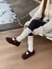 Zapatos Peludos para Mujer 2026 Otoño e Invierno Nuevo Estilo Peludos Punta Redonda Correa de Hebilla Forrados de Lana Zapatos Mary Jane