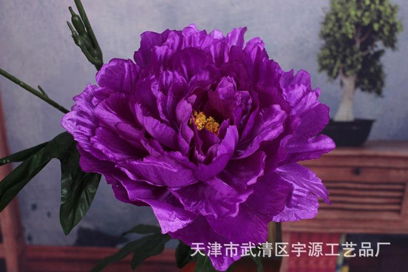 IMG_9439_副本.jpg