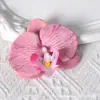 Pétalas de cabeça de flor phalaenopsis de filme artificial acessórios de flor artificial adorno de cabeça grampo de cabelo diy feito à mão decoração de casamento