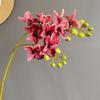 Sensación Simulada, Pegado, Orquídea Ave, Orquídea Phalaenopsis, Milán, Accesorios de Boda de Celebridad de Internet, Decoración de Recuerdo con Flores