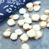 Set de Condimentos y Especias Sin Azufre Guangdong Shan Nai 500g para Verduras Estofadas y Carnes Guisadas