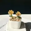 Enfeites de Vidro Zibo, Plantas Suculentas em Vasos, Plantas Verdes de Vidro, Presentes de Flores de Dezembro, Artesanato para Decoração de Escritório