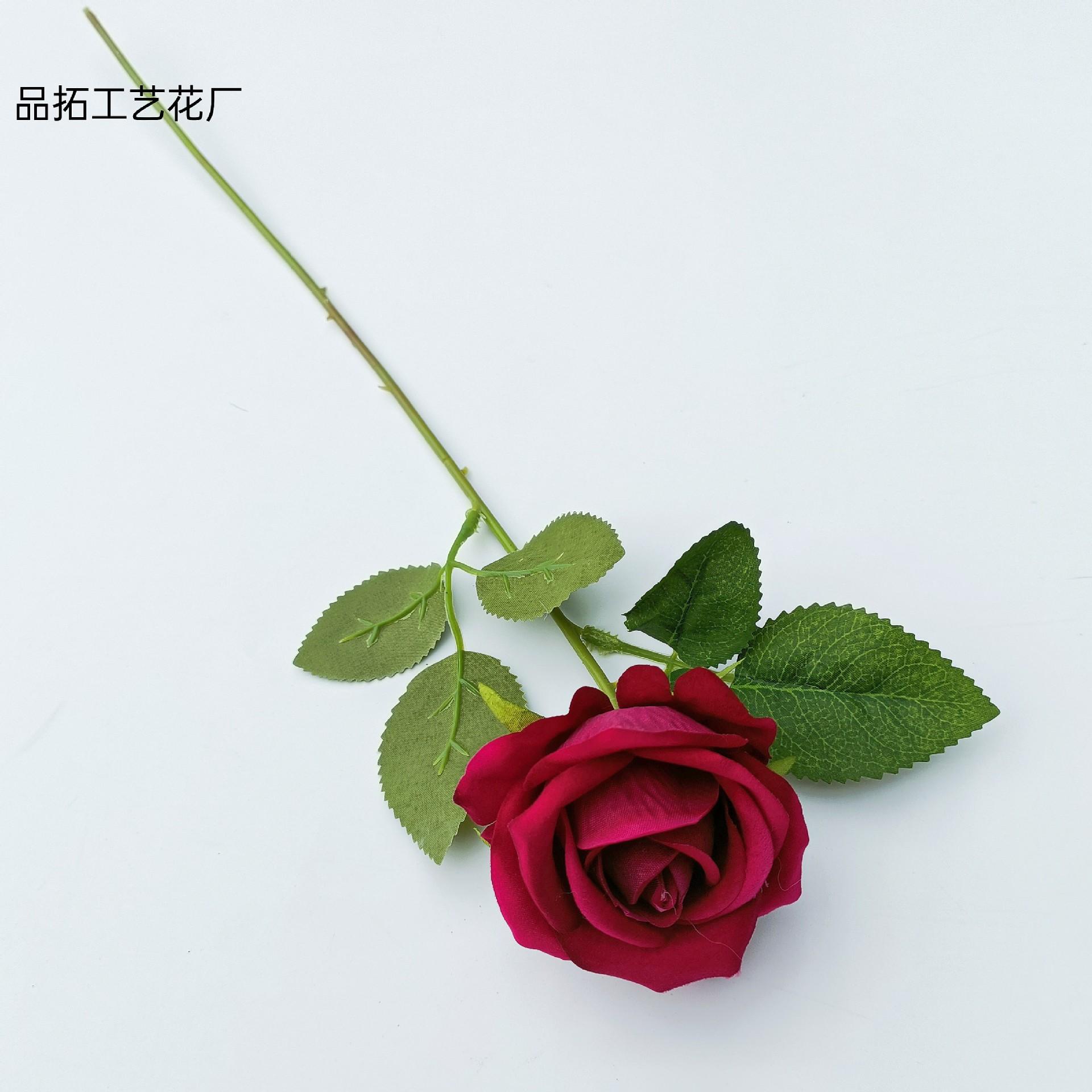 76b39e3d0355954c6d5588e2e9b279
