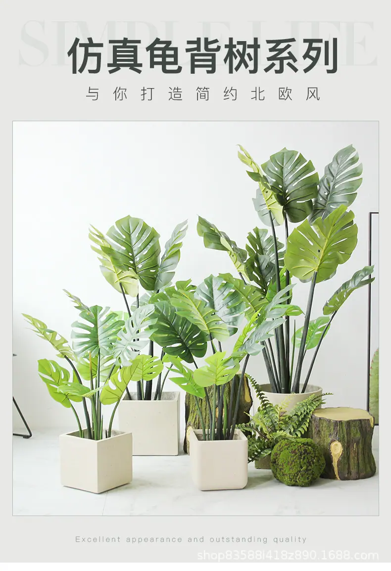 仿真龟背树系列_01.jpg