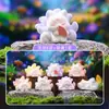 Fuguang Pequeno Buda Imortal Caixa Surpresa Estilo Chinês Estilo Budista Figura Luminosa Ornamento de Mesa Decoração de Estação de Trabalho Brinquedo da Moda Figura Presente