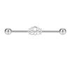 AliExpress comércio exterior de aço inoxidável industrial unha da orelha punção ornamentos uma variedade de orelha longa osso da unha da ponte da orelha prego em estoque