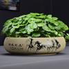 Maceta especial de cerámica para flor de hada acuática sin agujeros para hierba de cobre hidropónica cuenco de bambú rico cuenco de loto de gran diámetro utensilios de loto