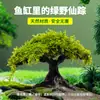 Paisajismo de Acuario Madera Flotante Plantas Acuáticas Higuera de Agua Hojas Grandes Plantas Hidropónicas Césped Real Negativo Set Completo Tanque Grande Higuera Plantas Verdes Decorativas