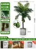 Grande Palmeira Areca Simulada Planta Tropical Coqueiro Planta Verde Biônica de Interior Árvore Falsa Atmosfera Paisagismo Ornamentos em Vaso