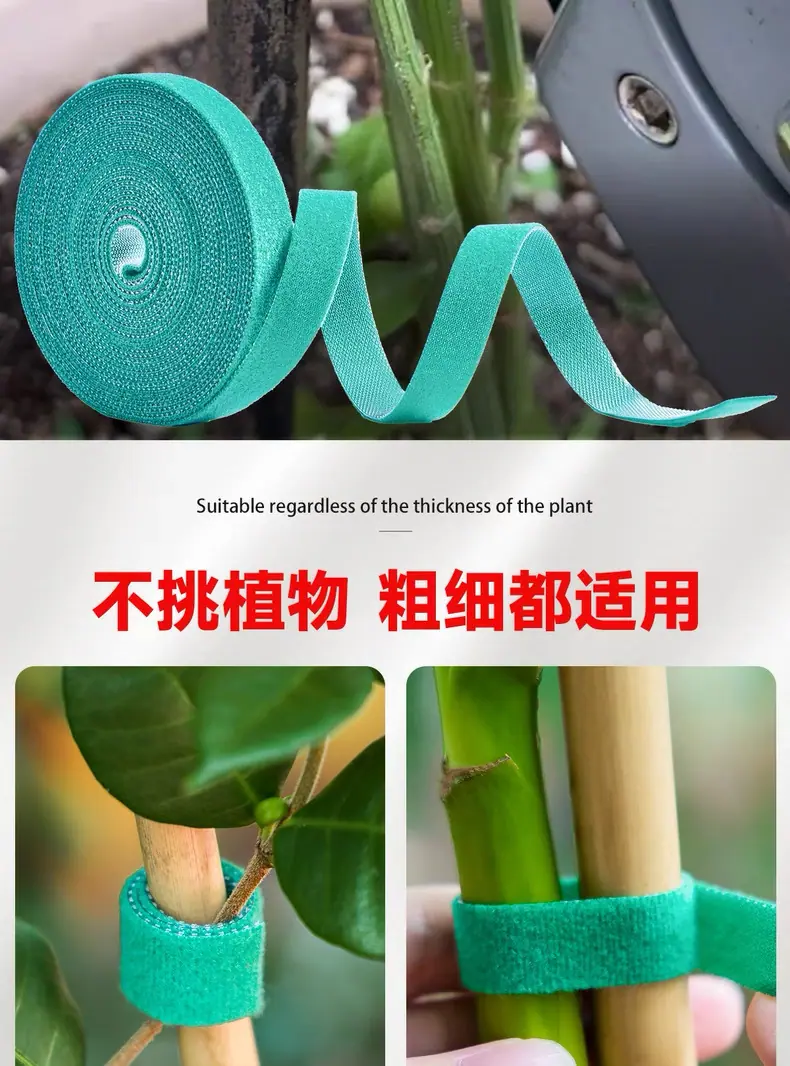 微信图片_20250516133638