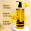 Dr. Champú de Ginseng Xiangmei Champú Limpiador de Folículos Pilosos de Ginseng Champú Suave y de Limpieza Profunda Control de Grasa